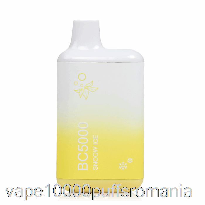 Vape Romania Bc5000 Gheata Snoow De Unica Folosinta